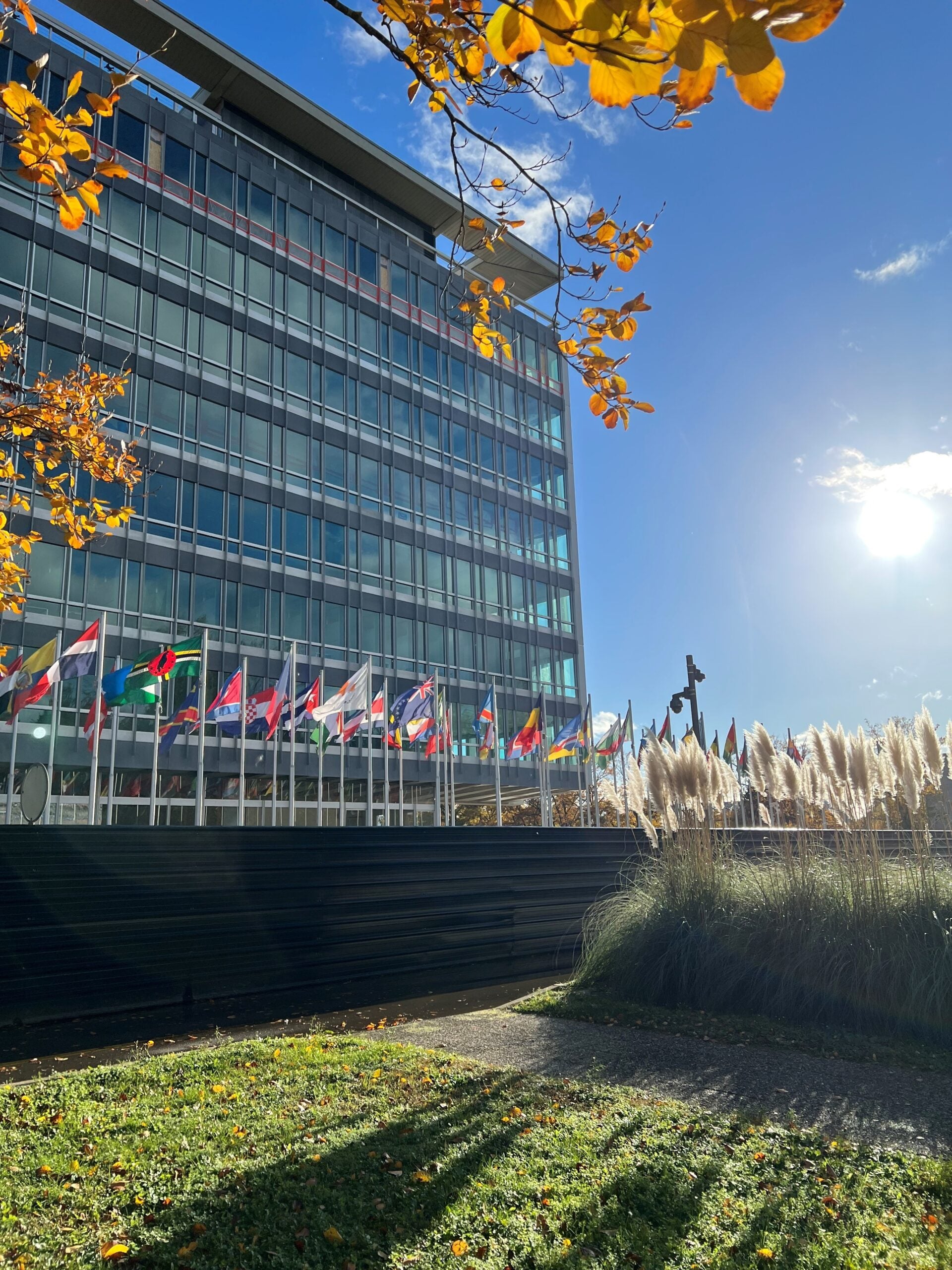 The World Health Organization headquarters building in Geneva, with national flags and autumn leaves.